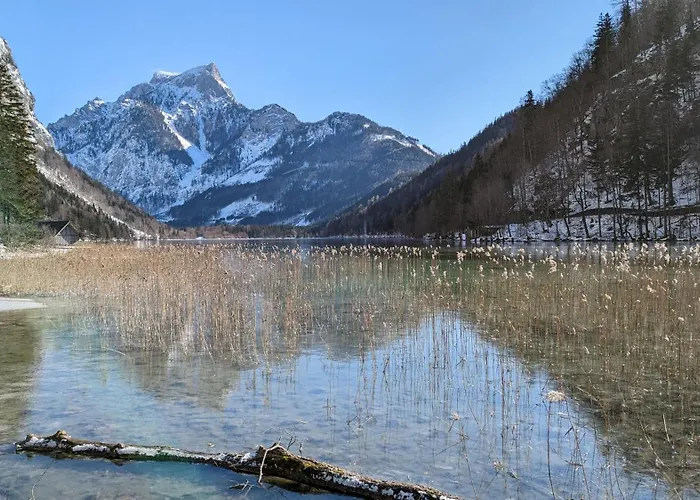 Wuelde Hoamat Pensionat